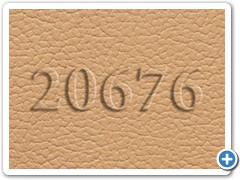 20676