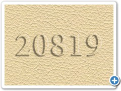 20819