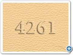4261